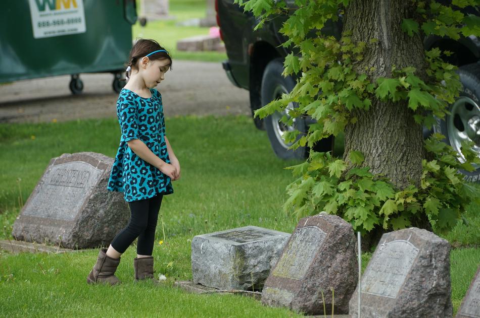 a girl in a beautiful dress on a green meadow