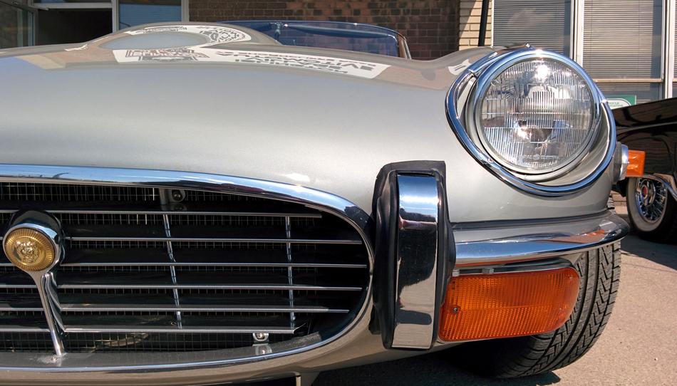Jaguar Silver Shiny