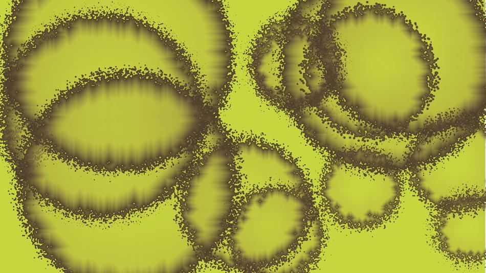 brown circles at green background