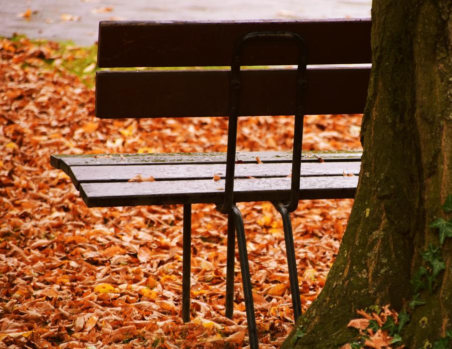 Bank Autumn Leaves