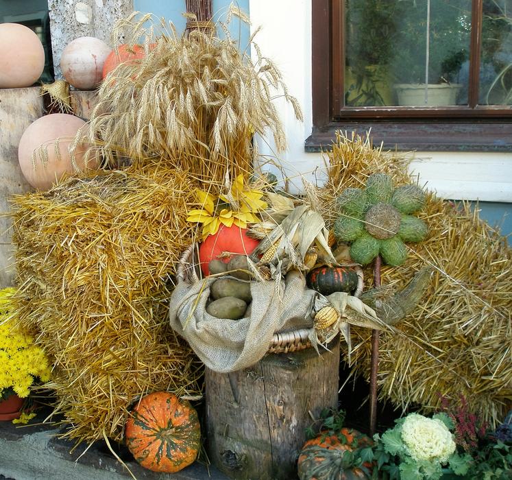 Autumn Color October