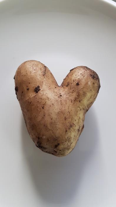 potato heart
