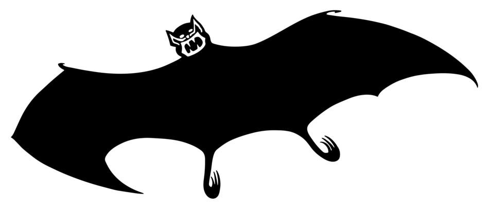 Black and white image of the Dracula bat at white background