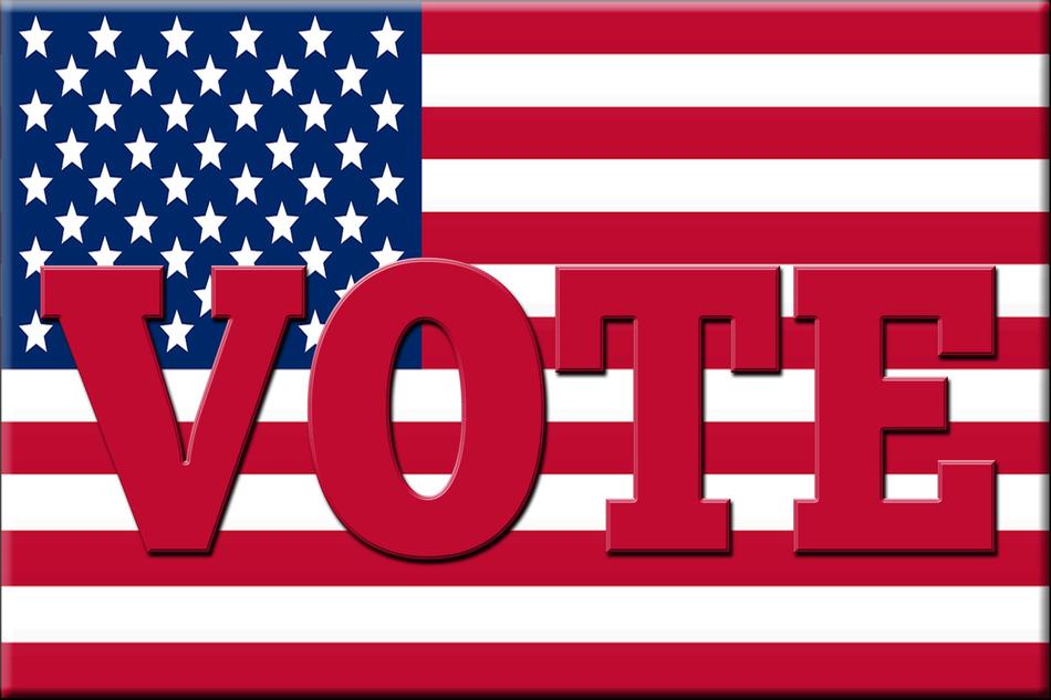 flag vote voting political