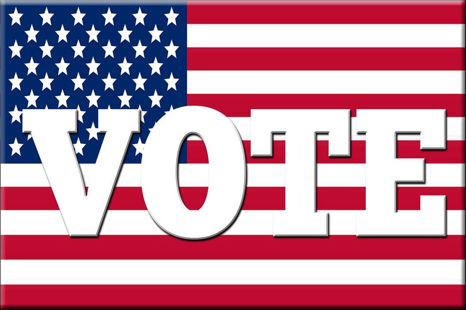 flag vote voting political