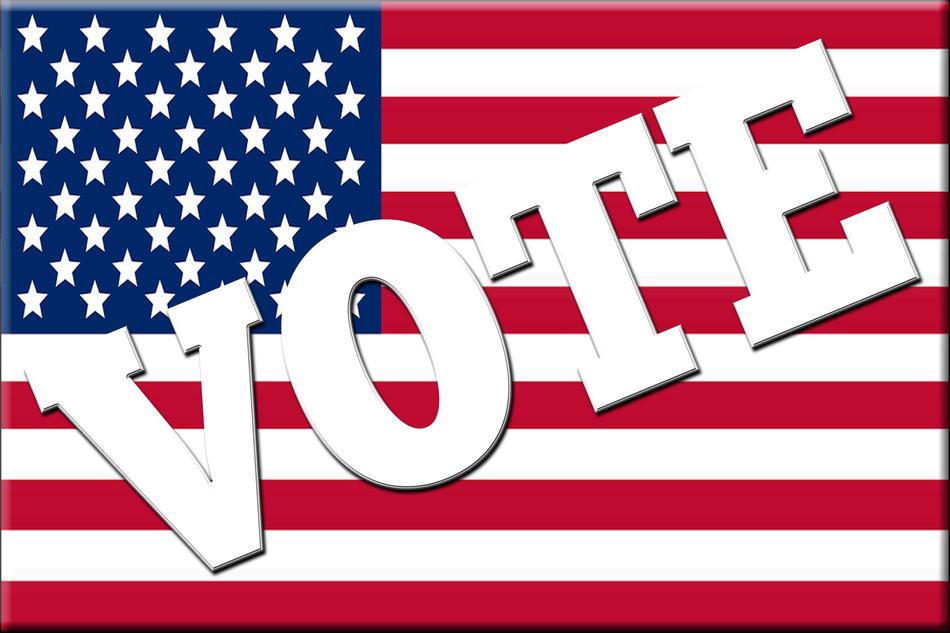 flag vote voting political