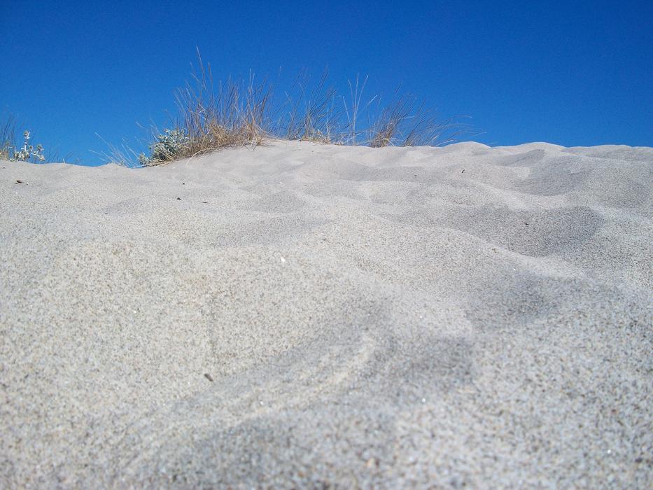 Dune Sand Sea