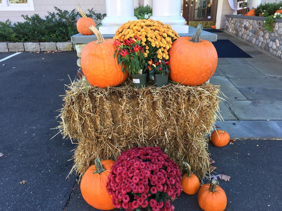 Halloween Pumpkins