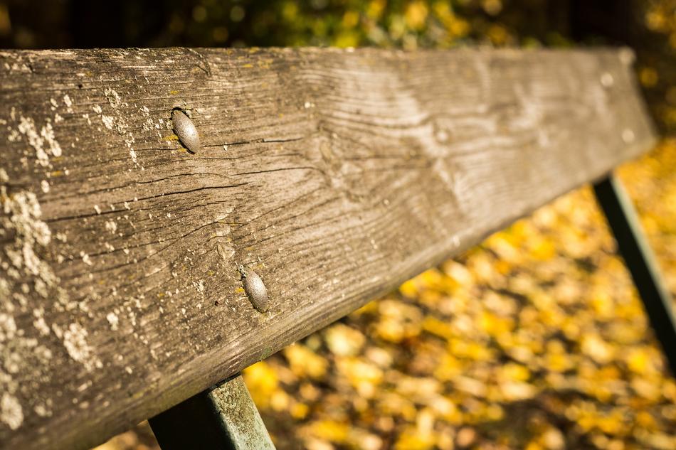 Bench Session Sit