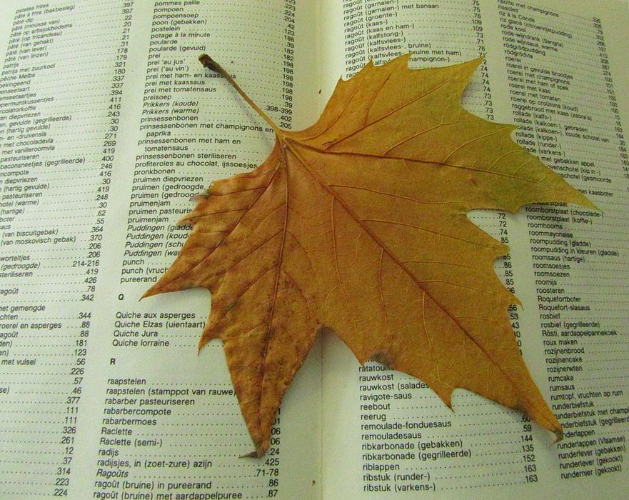 Autumn Leaf Drying Dead