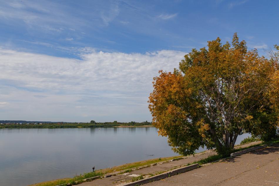 autumn leaves by the lake