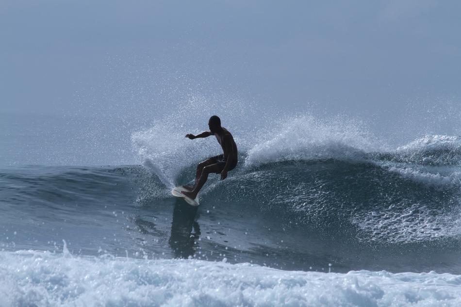 Surfing Sea Wave