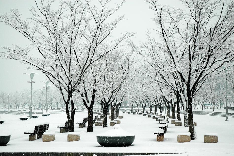 Sangam World Cup Park Snow