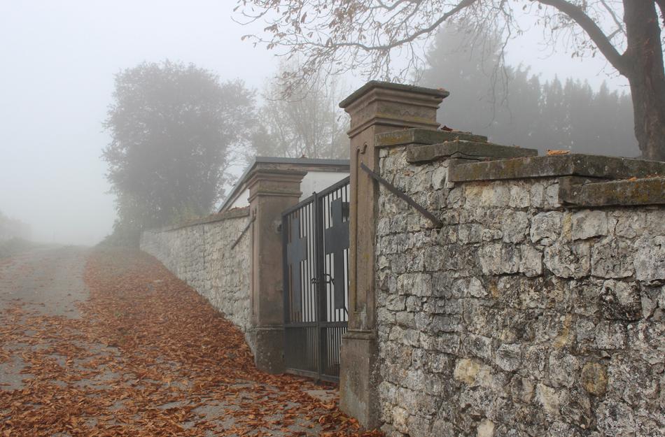 fall foliage gate