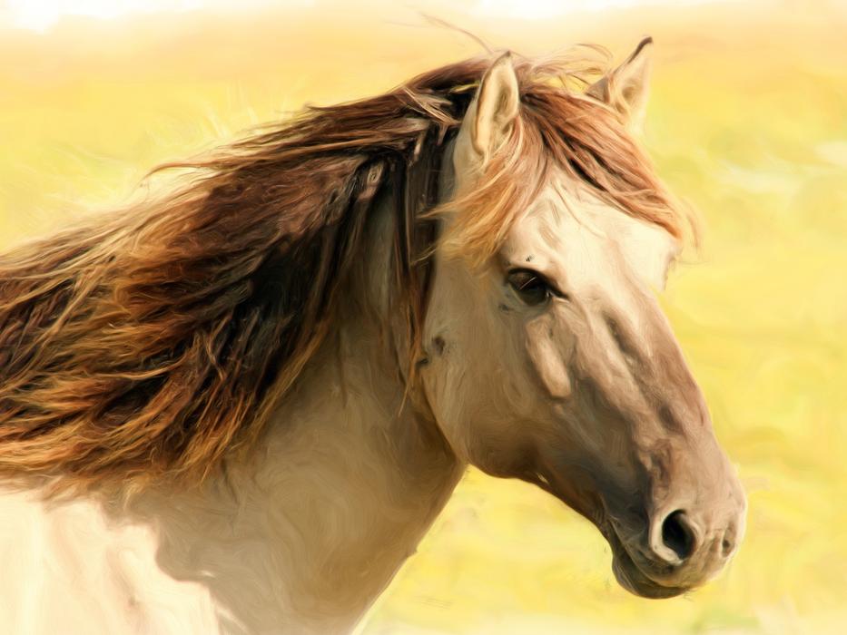 painting oil painting photo painting