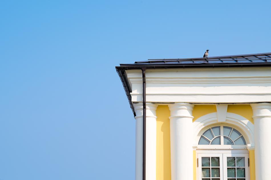 crow on the roof of a building in the style of classicism