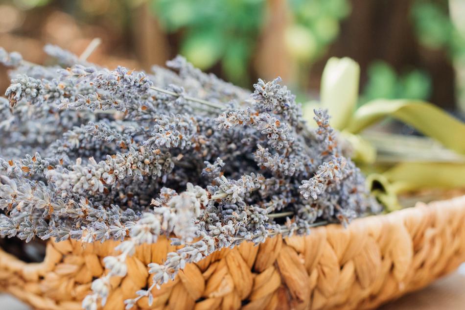 lavender in basket close up