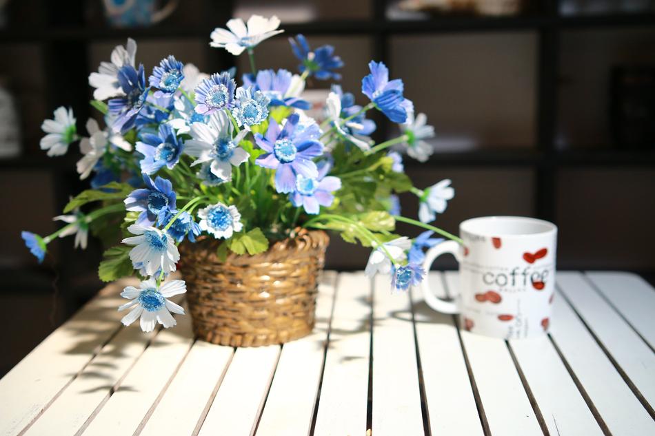 Cup Flowers