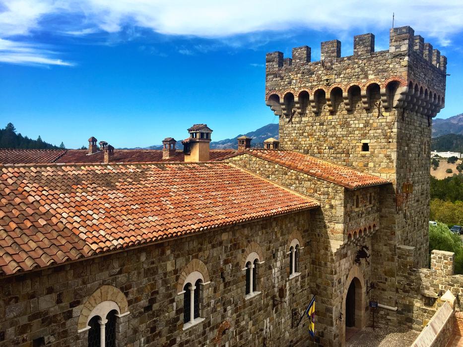 Castle Napa Vineyard