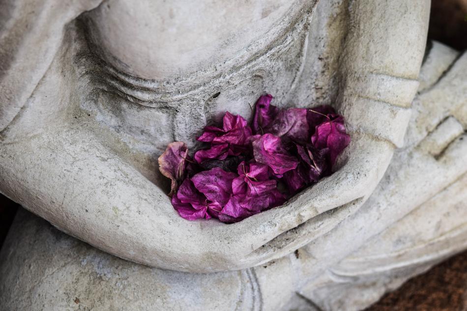 Art Dried Petals Flowers