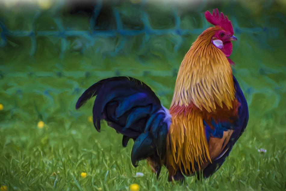 Painting Oil Photo
