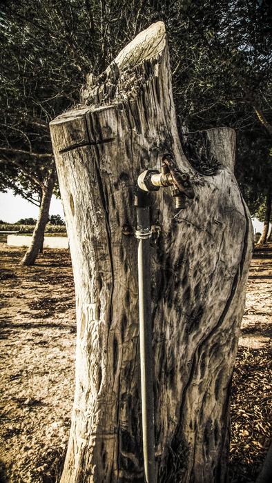 Trunk Wooden Fountain