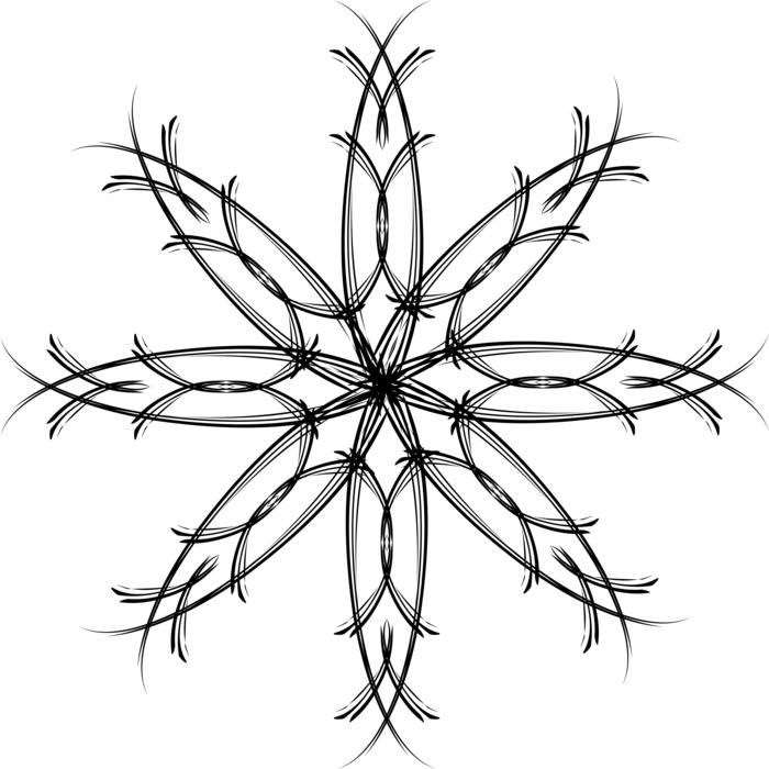 beautiful black flower pattern