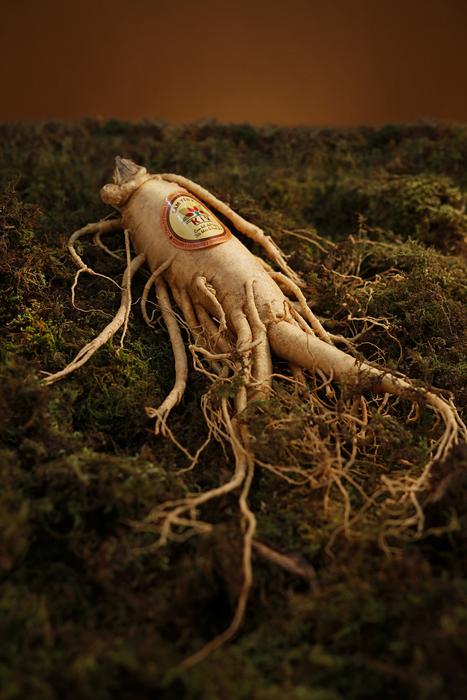 Ginseng Yellow Grass