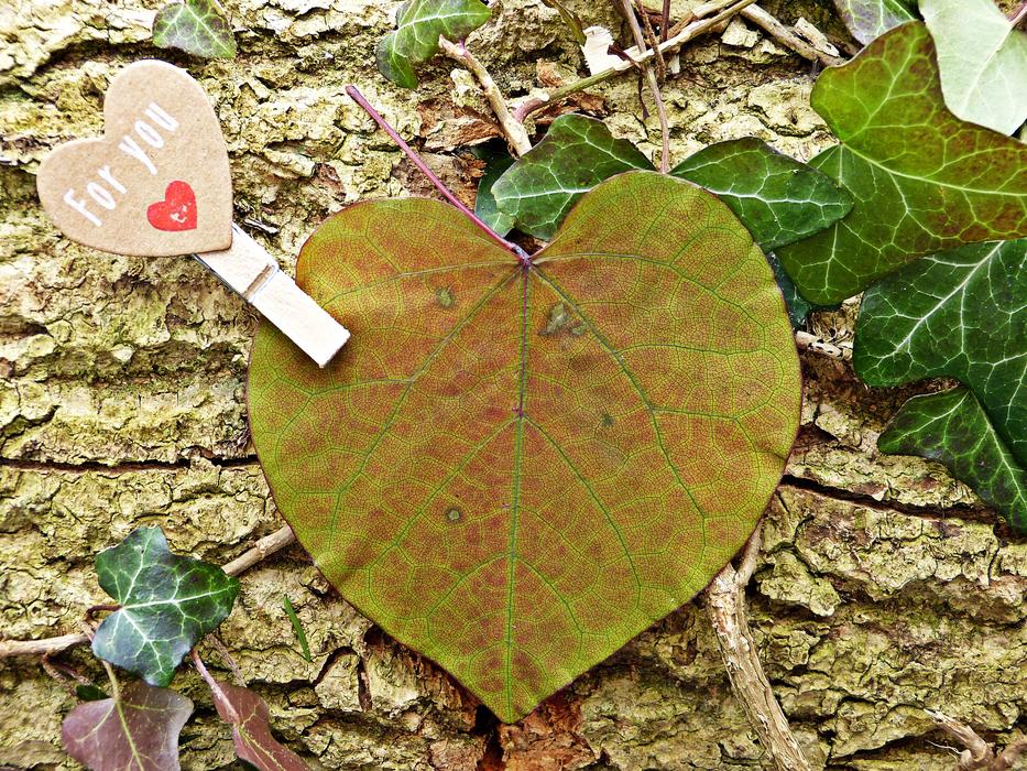 leaf with decoration