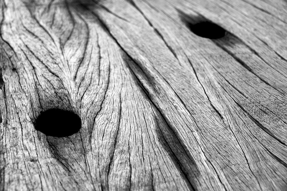Closeup Black And White