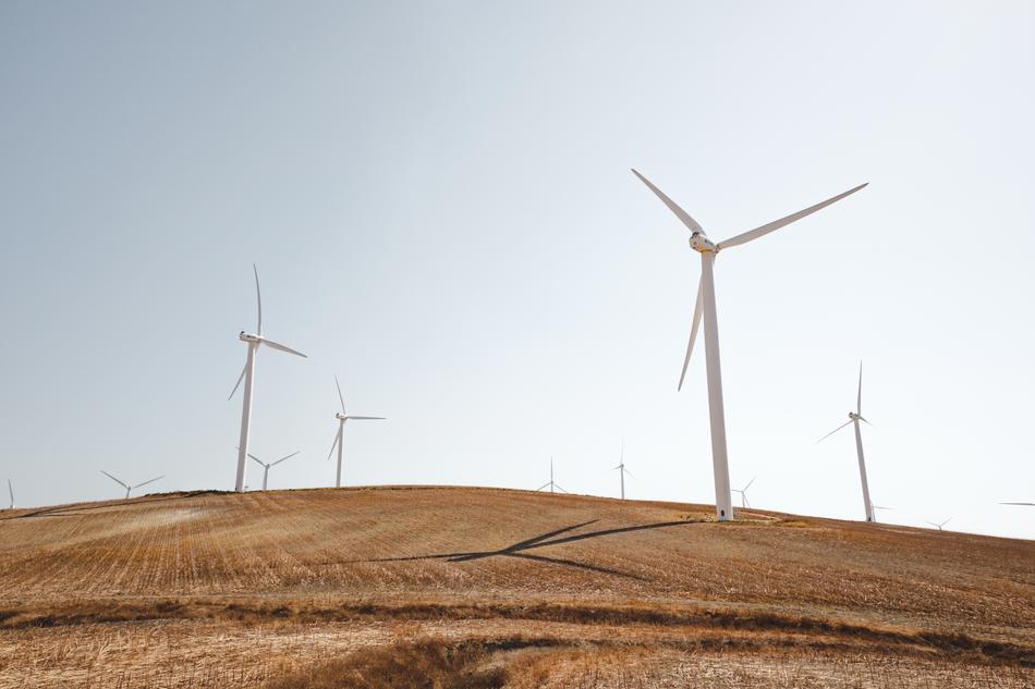 Energy Field Grass Wind