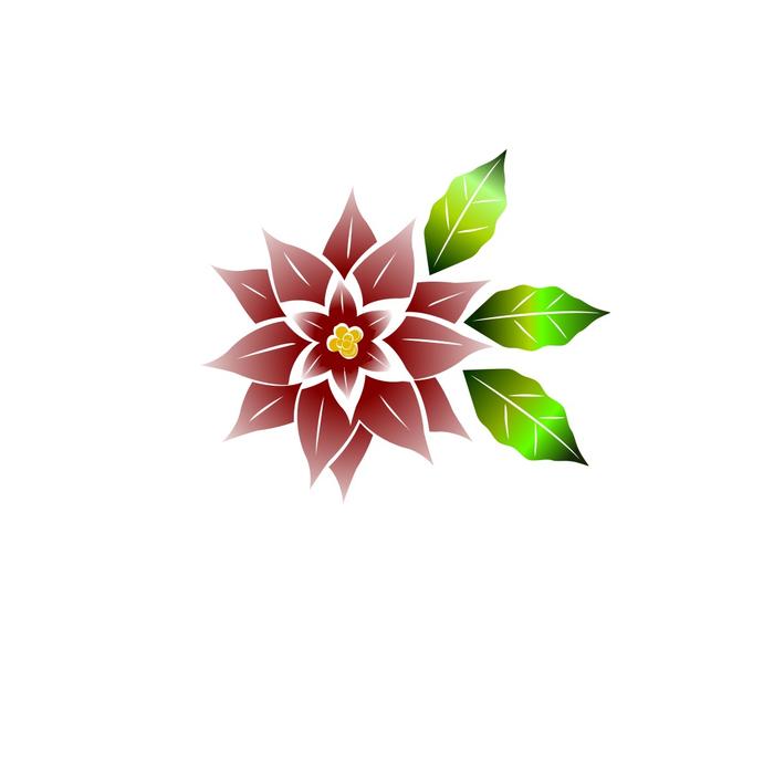 a gorgeous flower on a white background