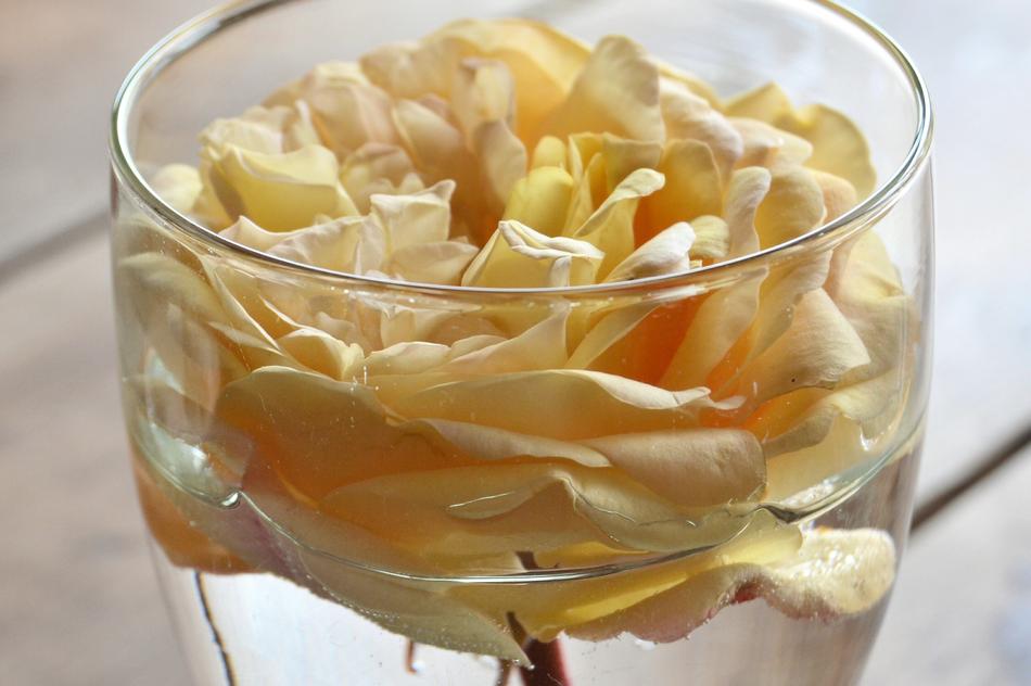 Rosa Decoration Flowers