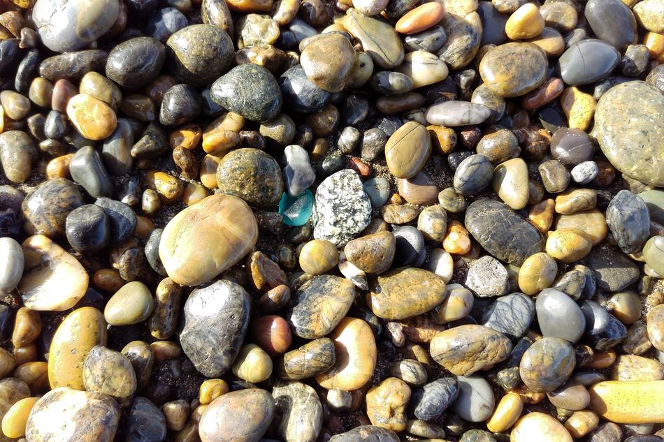 wet rocks on the beach