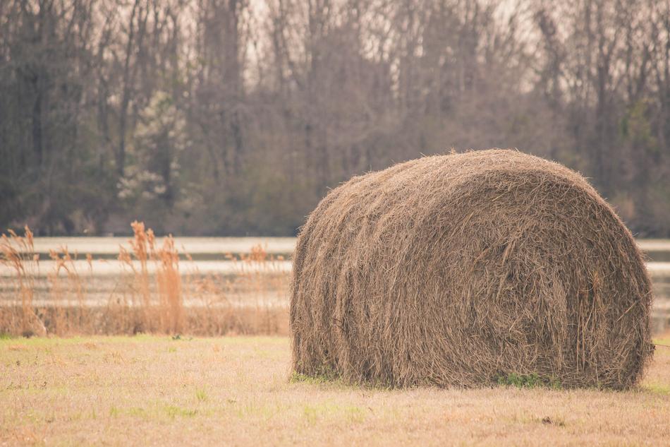 Countryside Farm Farming
