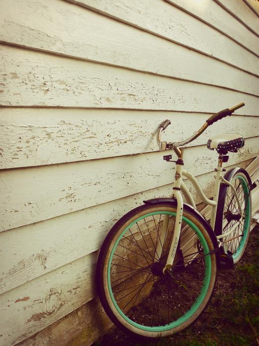 Bicycle Bike Spokes