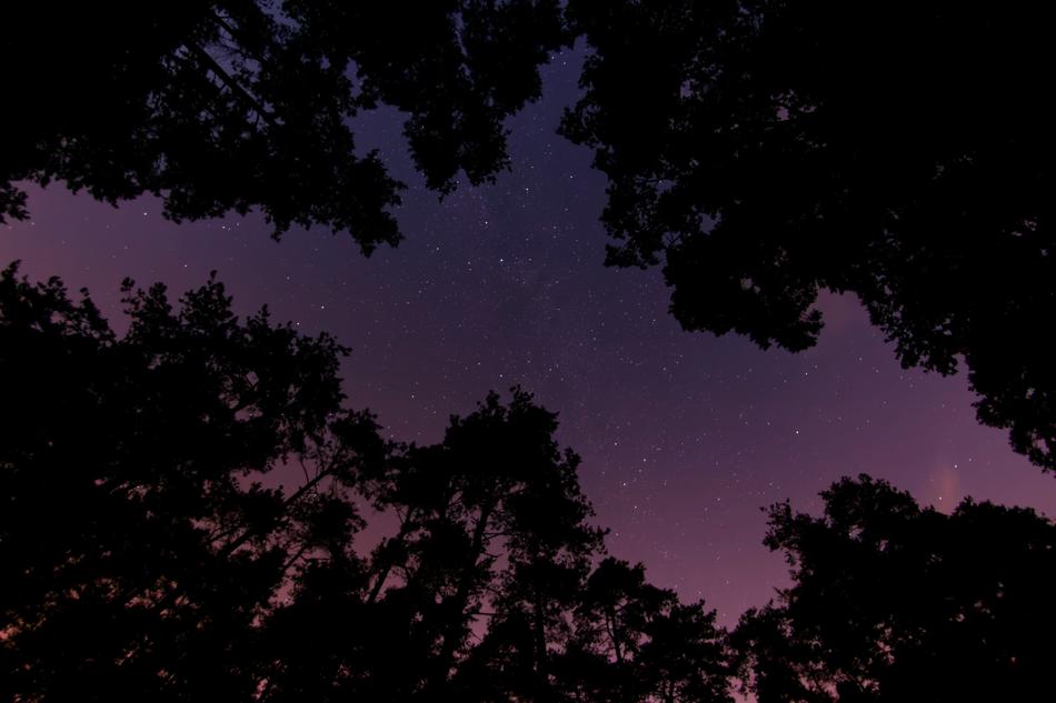 Dark Night Outdoors