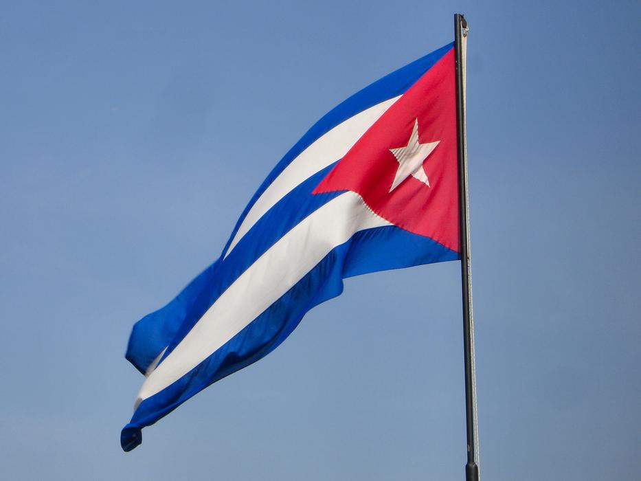flag on a pole landscape