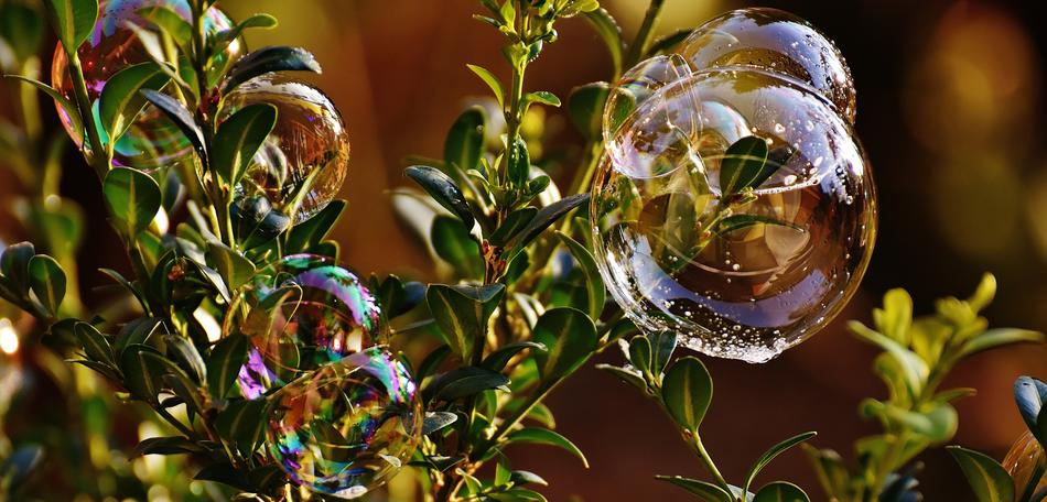 Soap Bubble Colorful Buxbaum