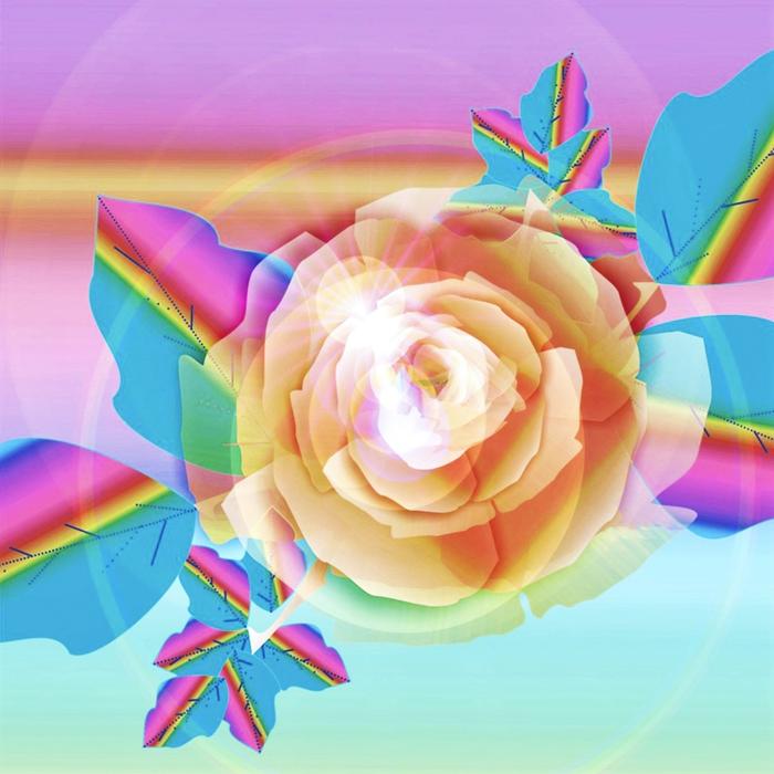 group roses pearly violet