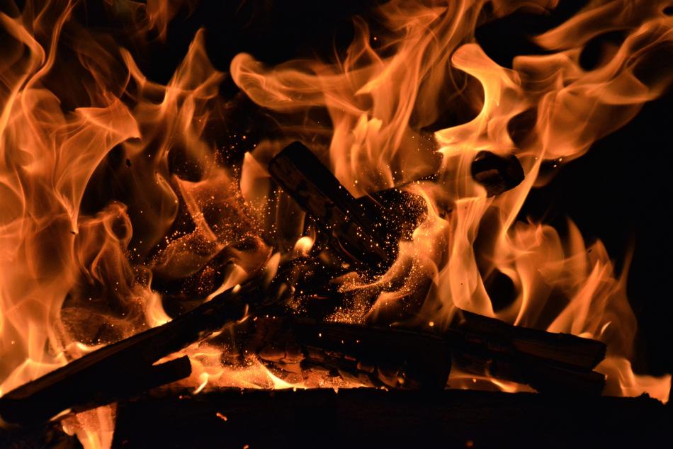 log campfire view