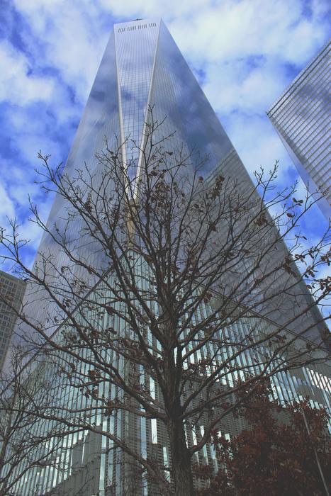wonderful City Nyc