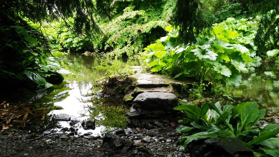 Water Leaf Stone