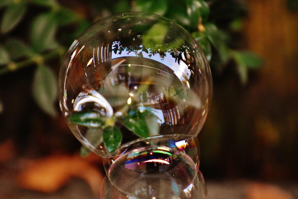 Soap Bubble Colorful Buxbaum