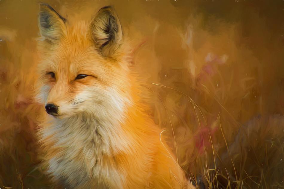 painting oil painting photo painting
