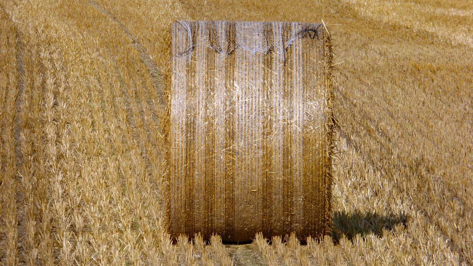 Harvest Hay Agriculture