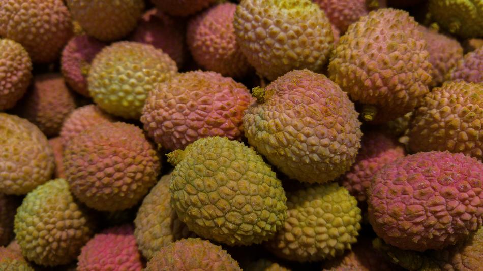 ripe berries are plentiful