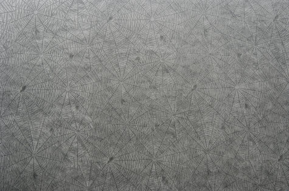 Paper Pattern ‪Spider grey exture