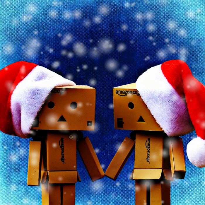 Danbo Christmas Figures
