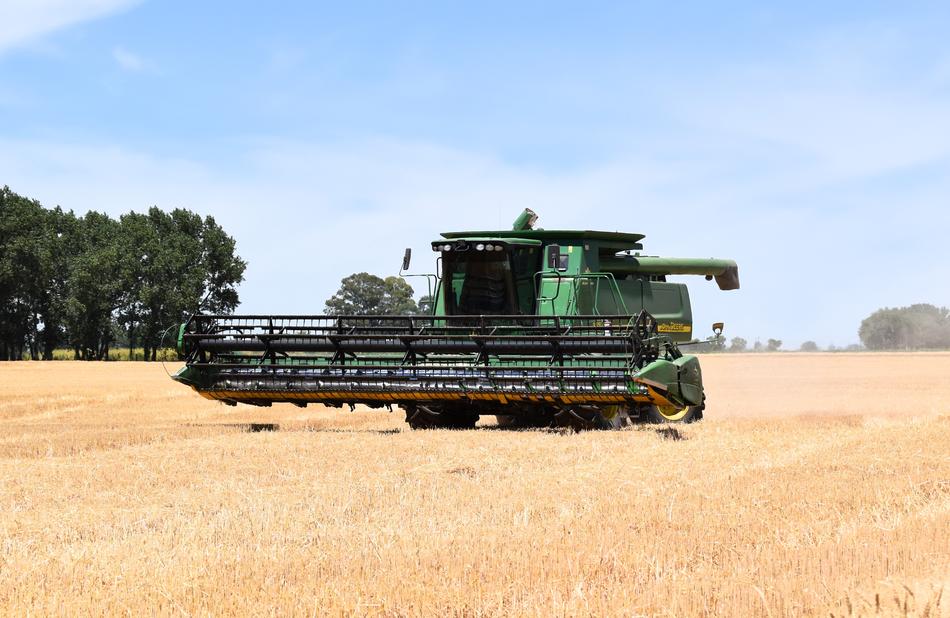 Combine Harvester Harvest Wheat